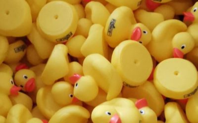 The sense and nonsense of a rubber duck