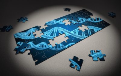 Wat is uw DNA als Provider?